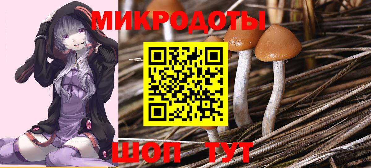 Мичуринск  Галлюциногенные грибы Psilocybine cubensis  Вход с VPN 