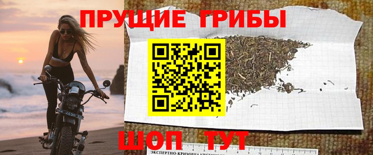 Псилоцибиновые грибы ЛСД Мичуринск